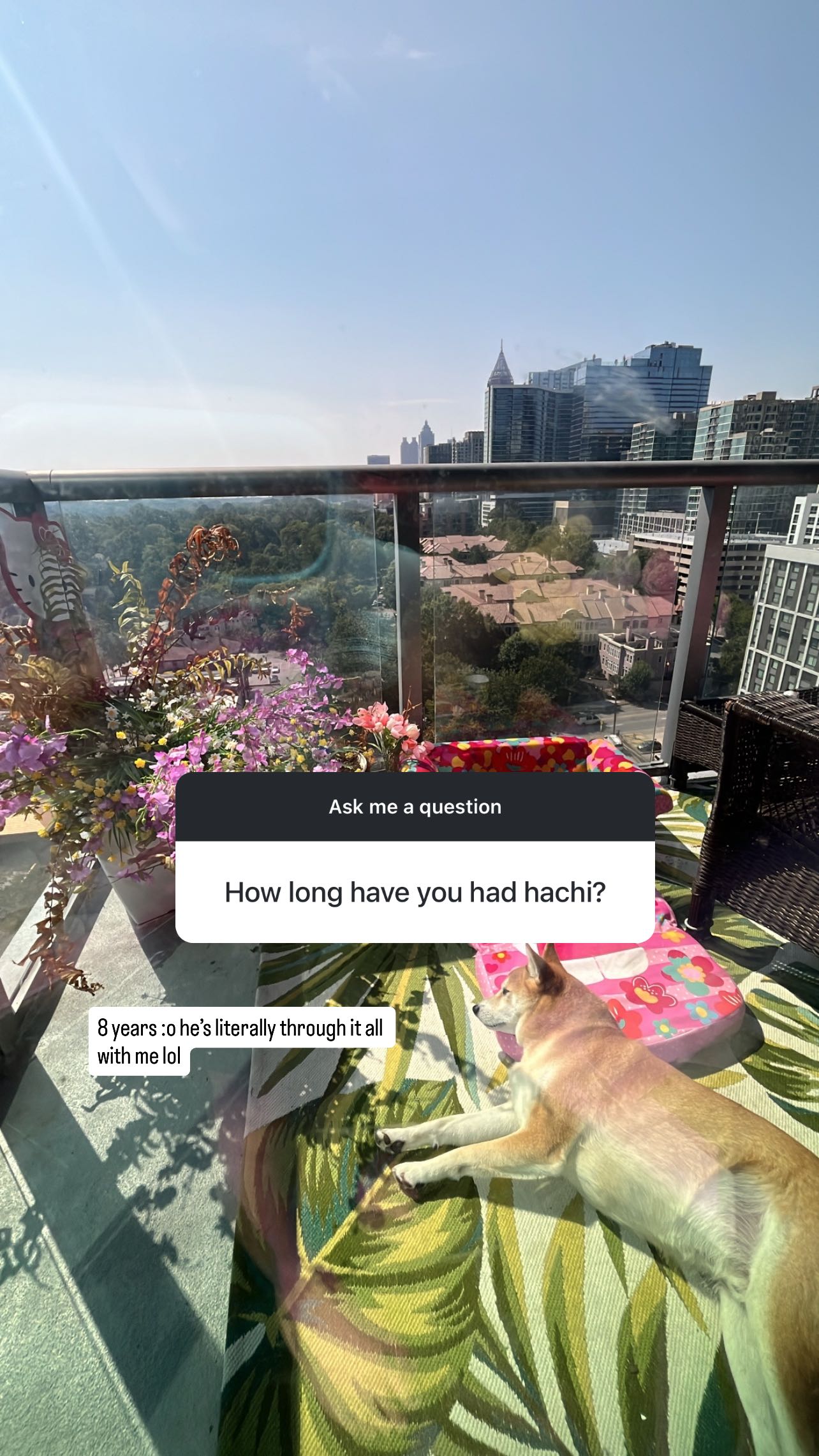 zommmbri instagram image archive image