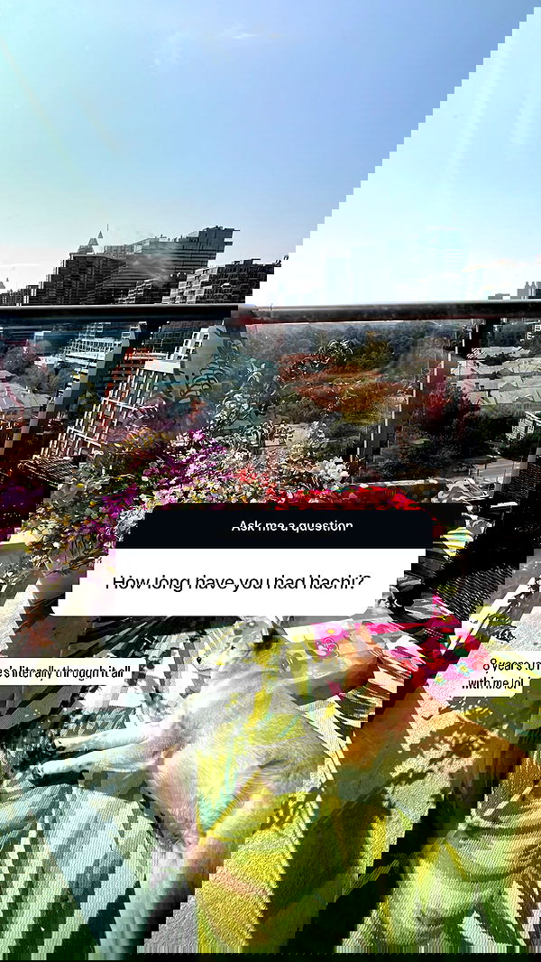 zommmbri image ~ Altpins