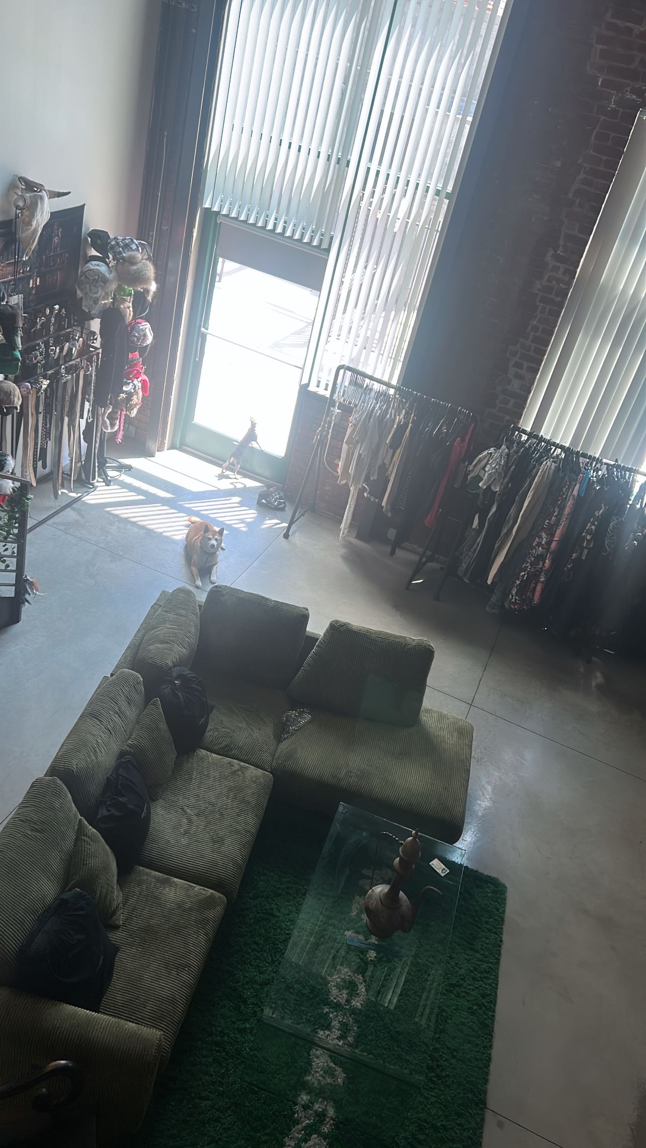 zommmbri instagram image archive image