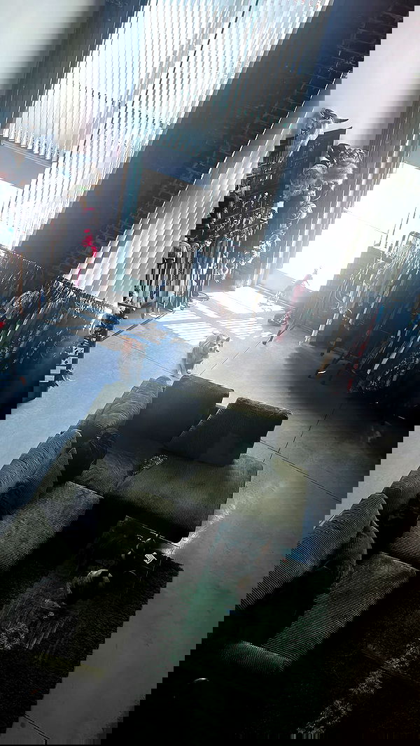 zommmbri image ~ Altpins