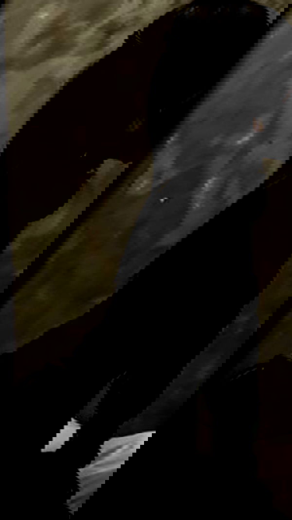 zommmbri image ~ Altpins