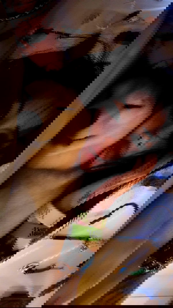 zommmbri image ~ Altpins