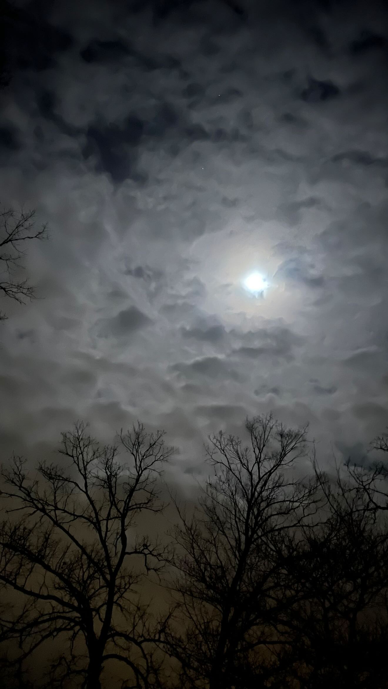 zommmbri instagram image archive image