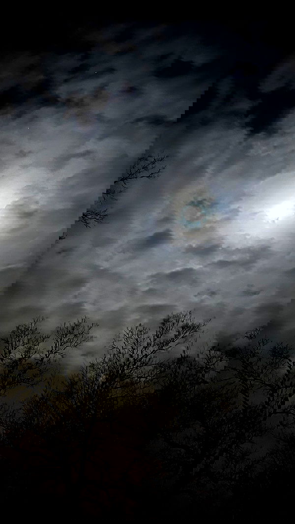 zommmbri image ~ Altpins