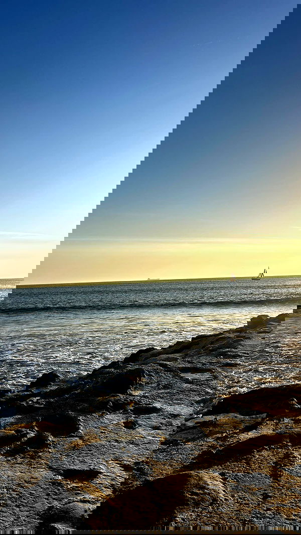 zommmbri image ~ Altpins