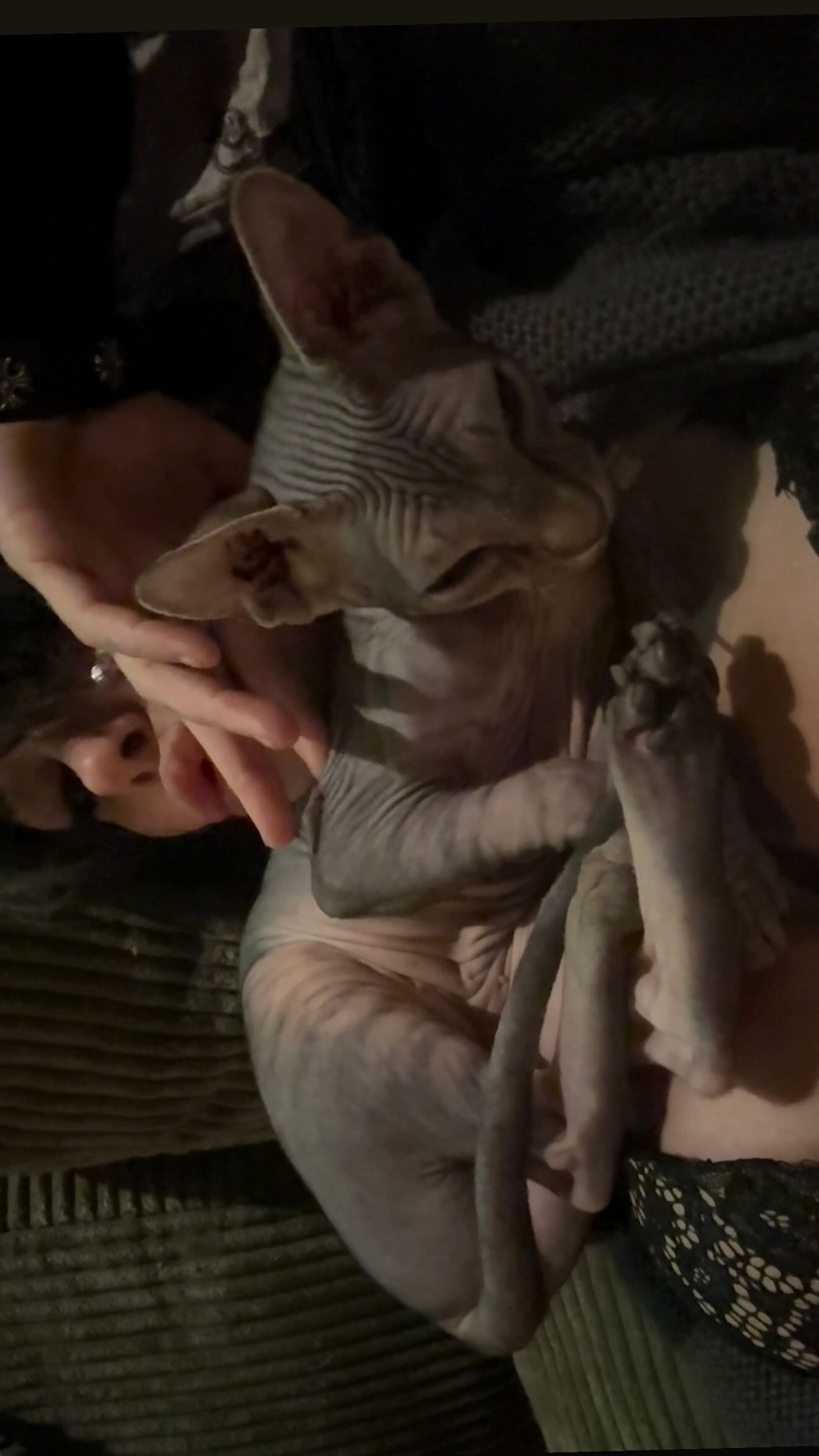 zommmbri instagram image archive image