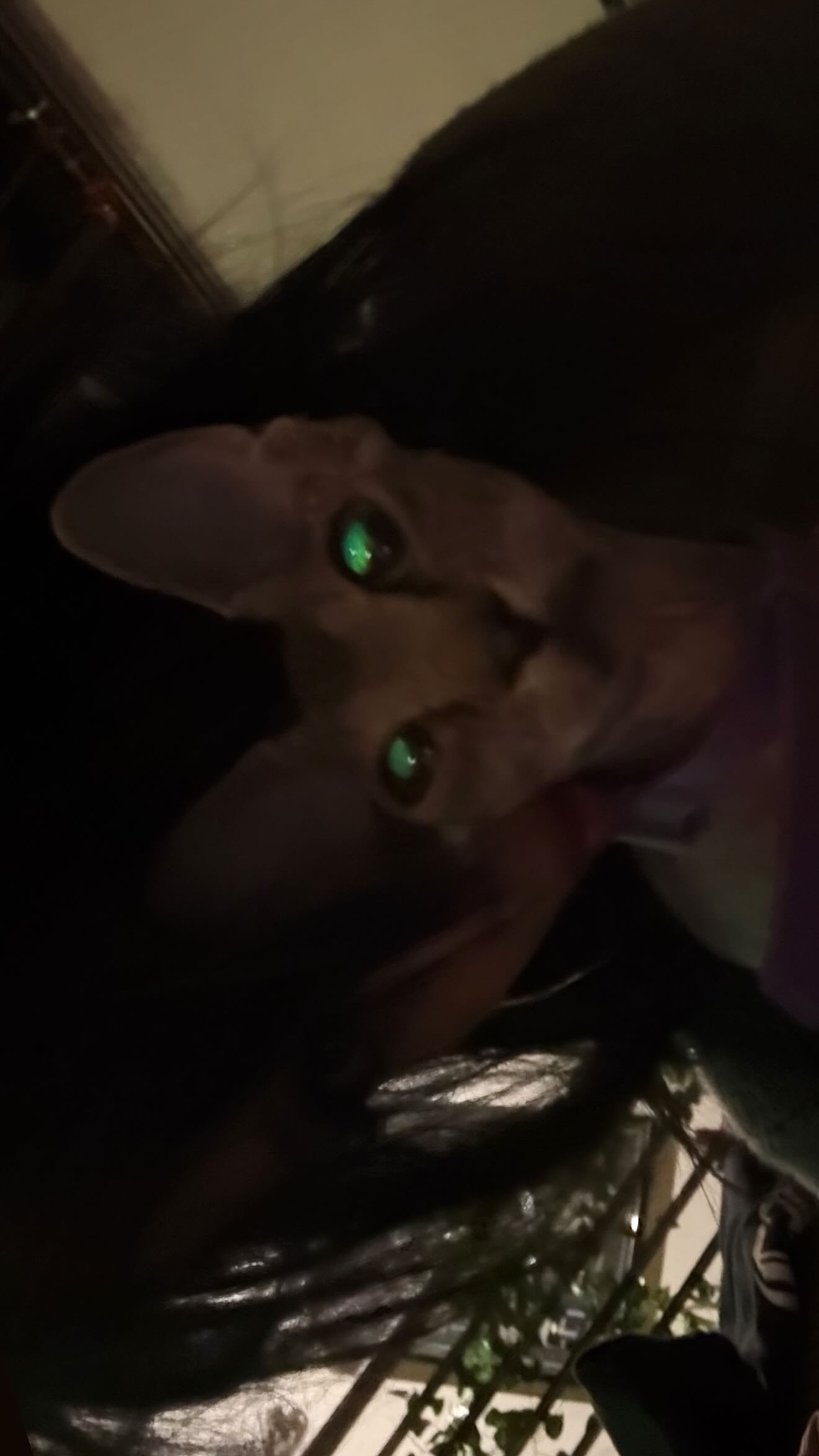 zommmbri instagram image archive image