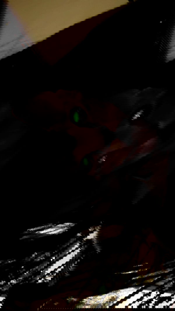 zommmbri image ~ Altpins