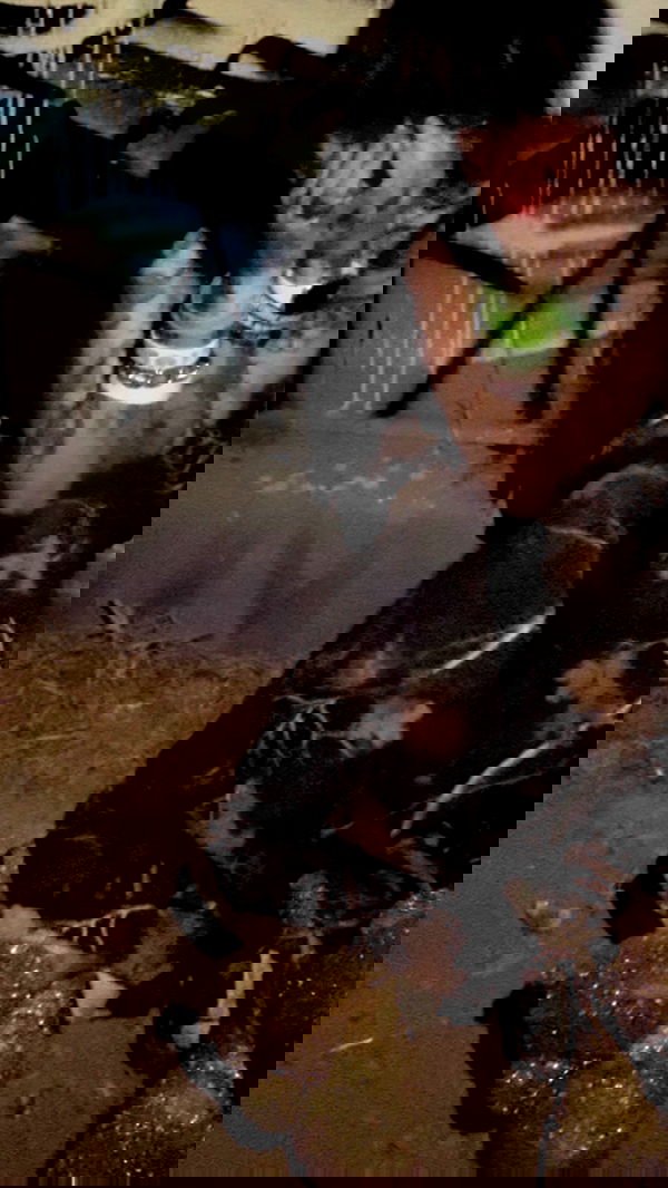 zommmbri image ~ Altpins