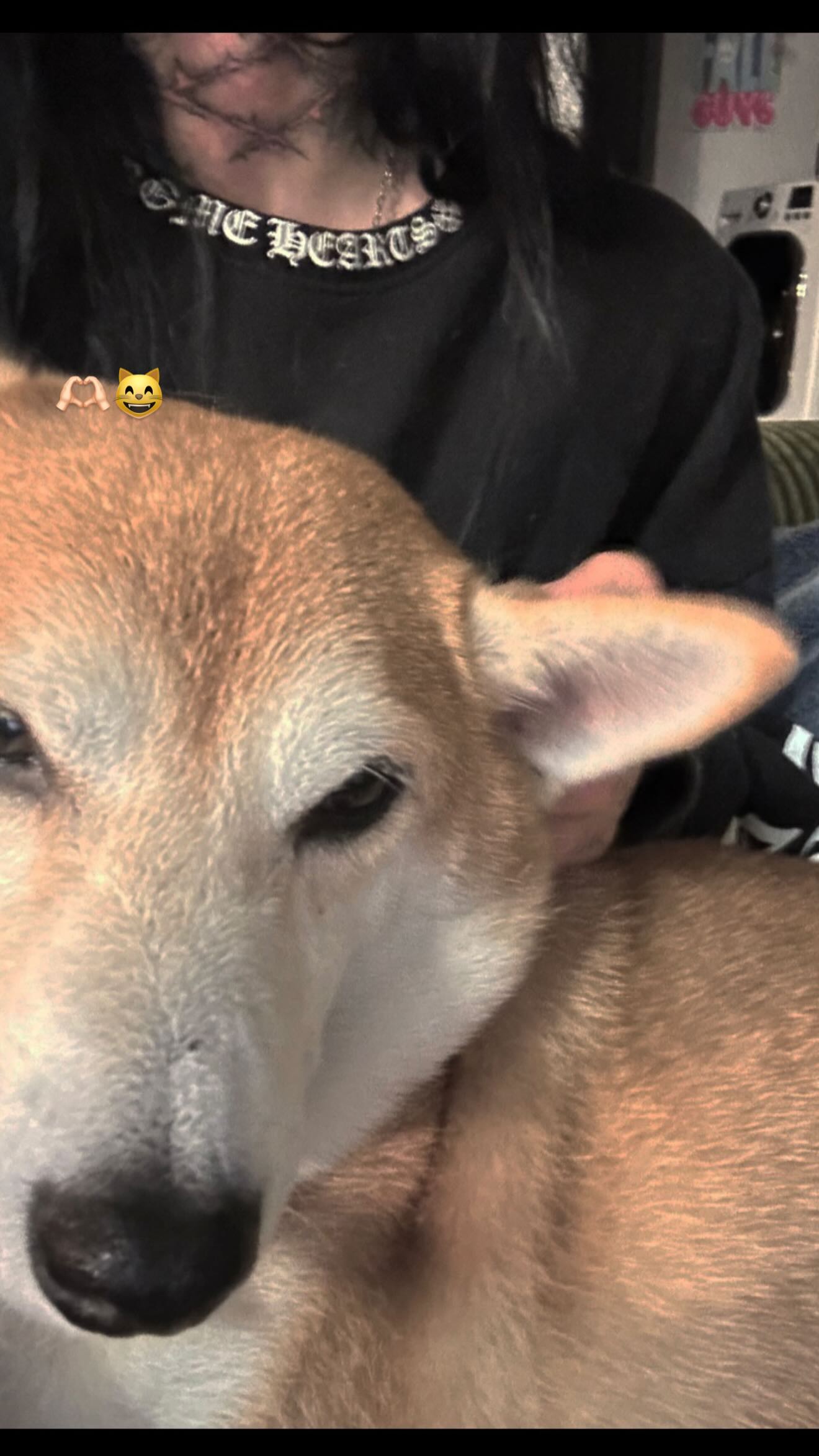 zommmbri instagram image archive image