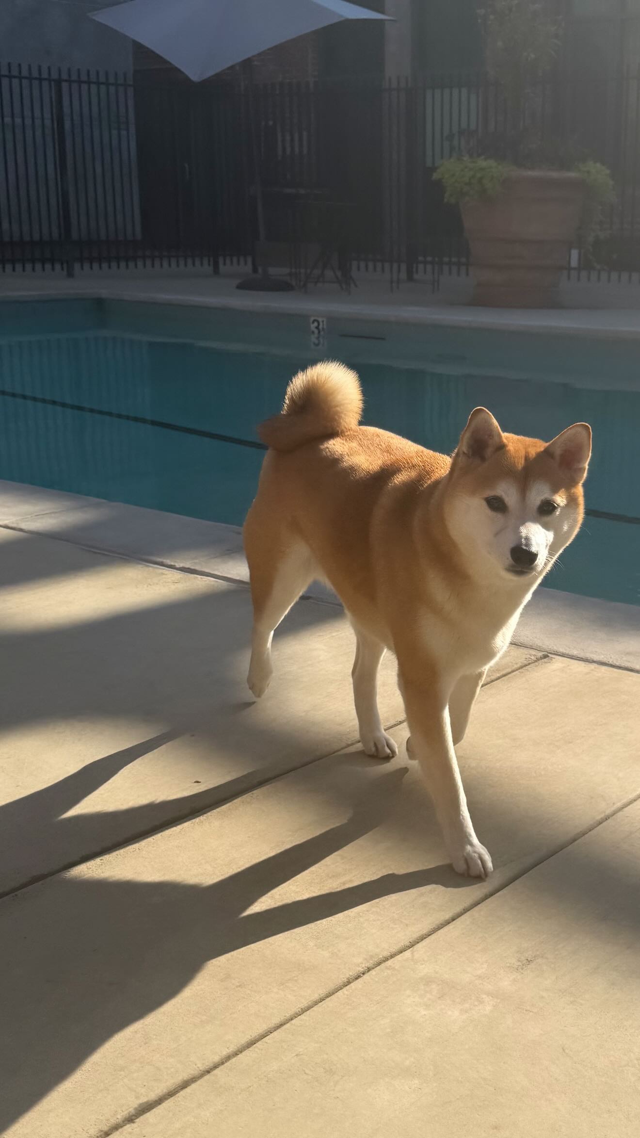 zommmbri instagram image archive image