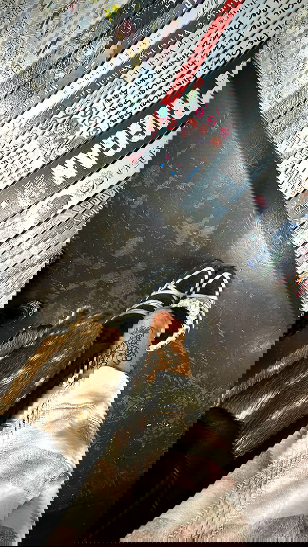 zommmbri image ~ Altpins