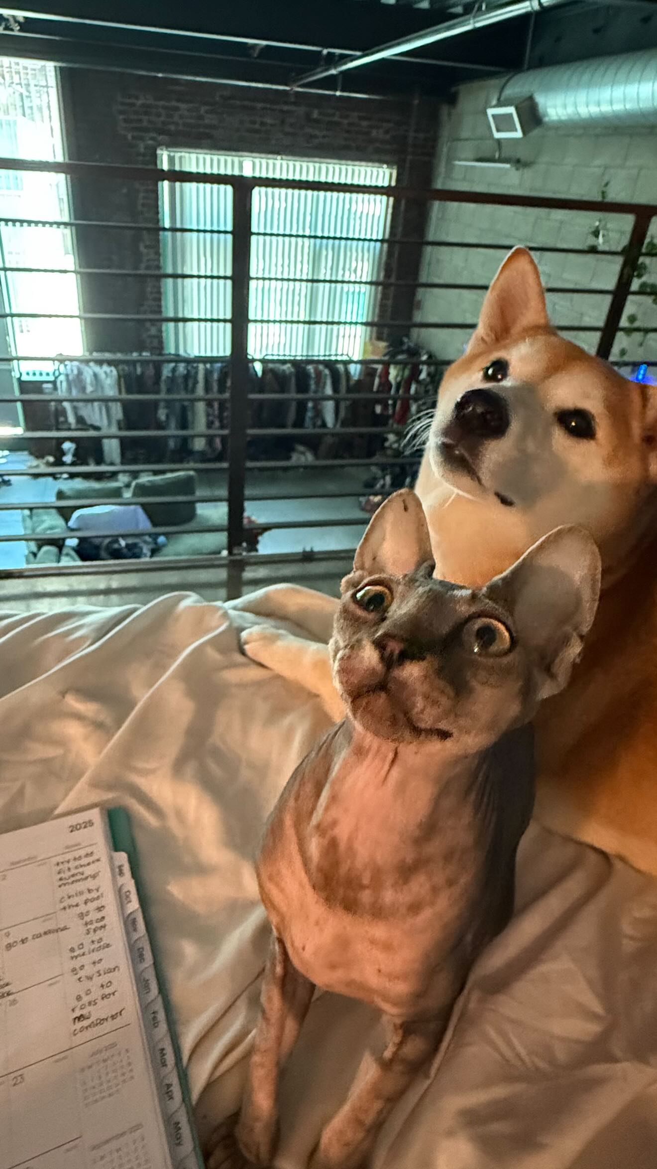 zommmbri instagram image archive image