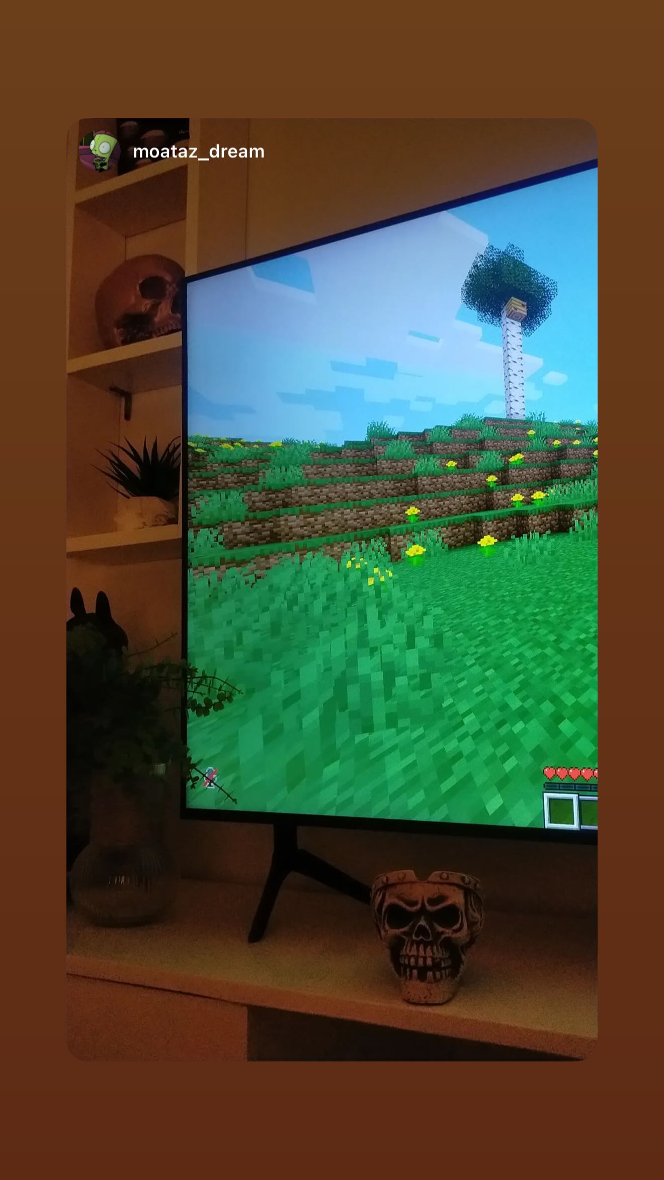 zommmbri instagram image archive image