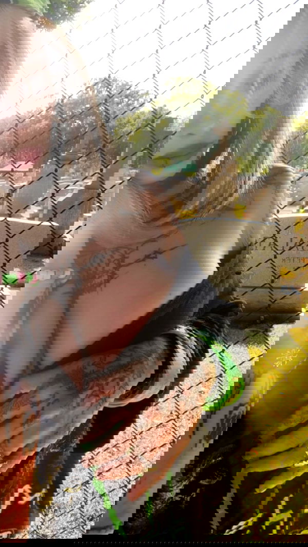 zommmbri image ~ Altpins