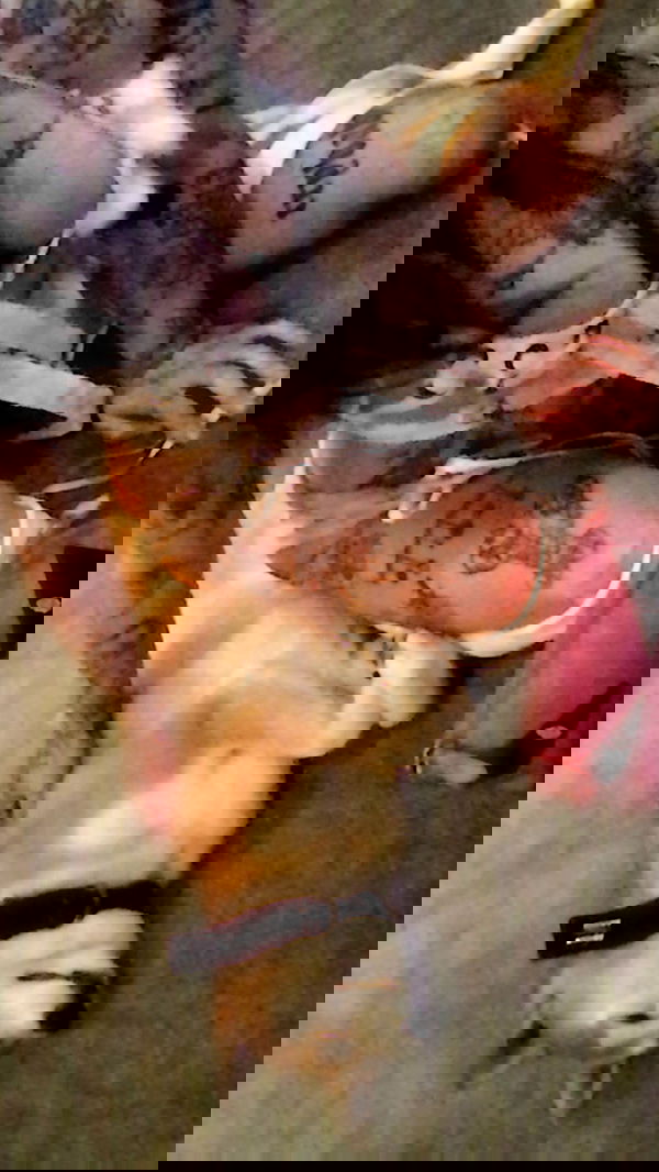 zommmbri image ~ Altpins