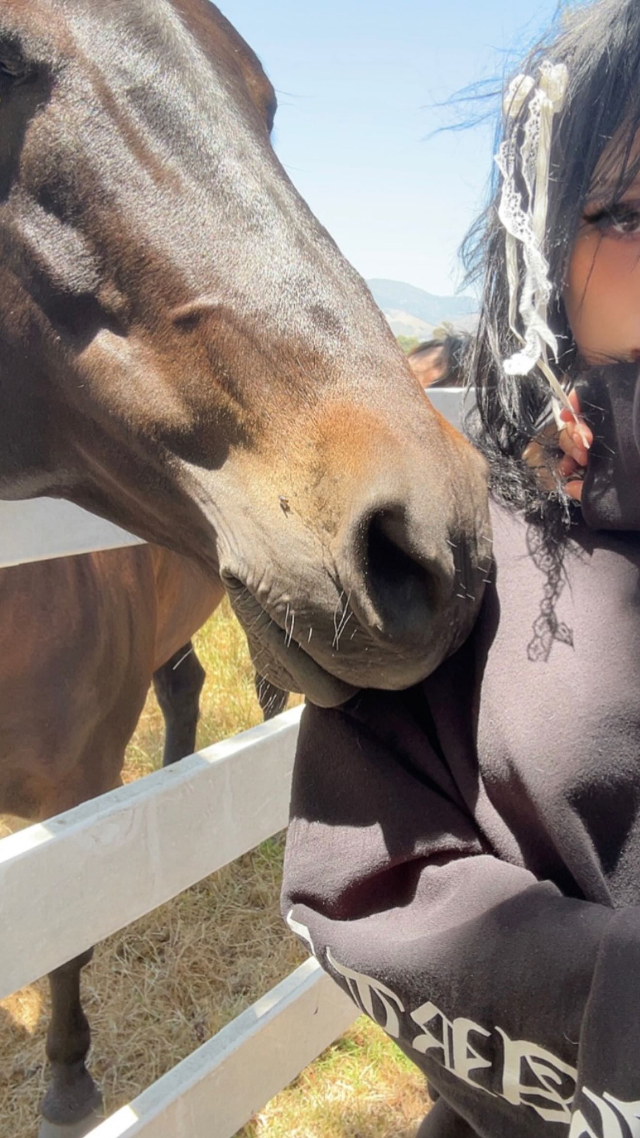 zommmbri instagram image archive image