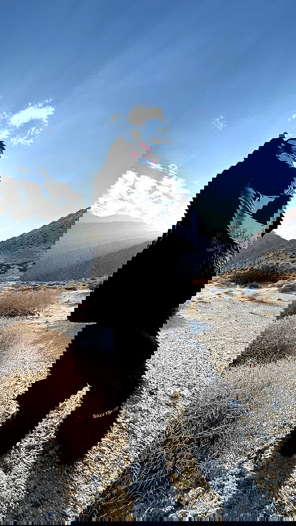 zommmbri image ~ Altpins