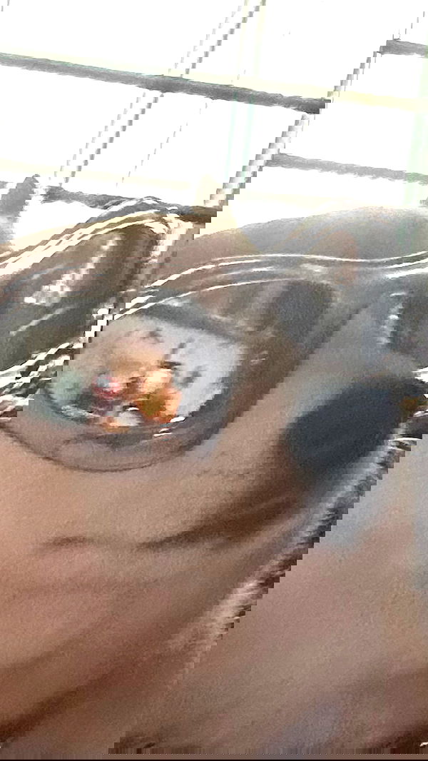 zommmbri image ~ Altpins