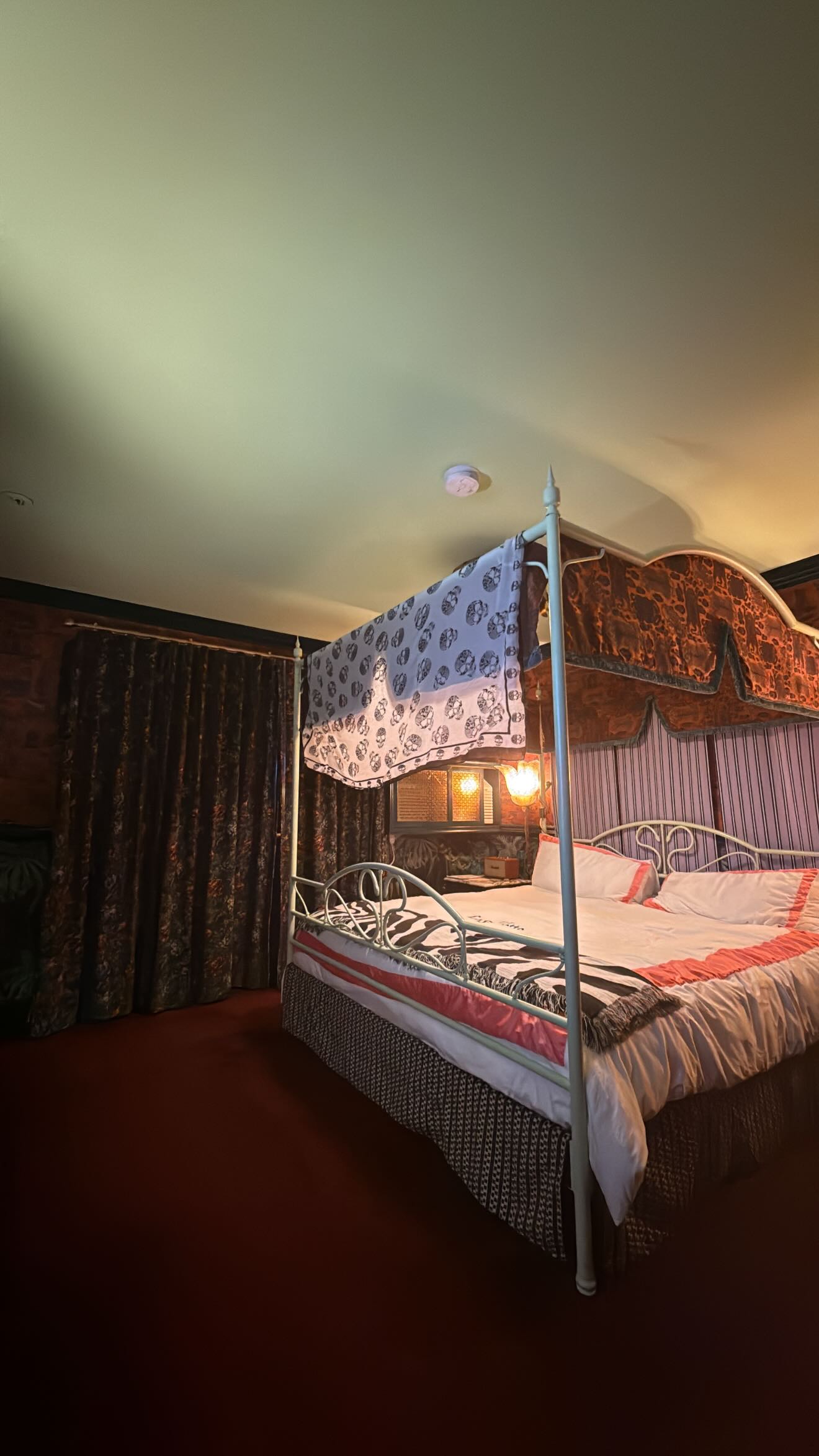 zommmbri instagram image archive image