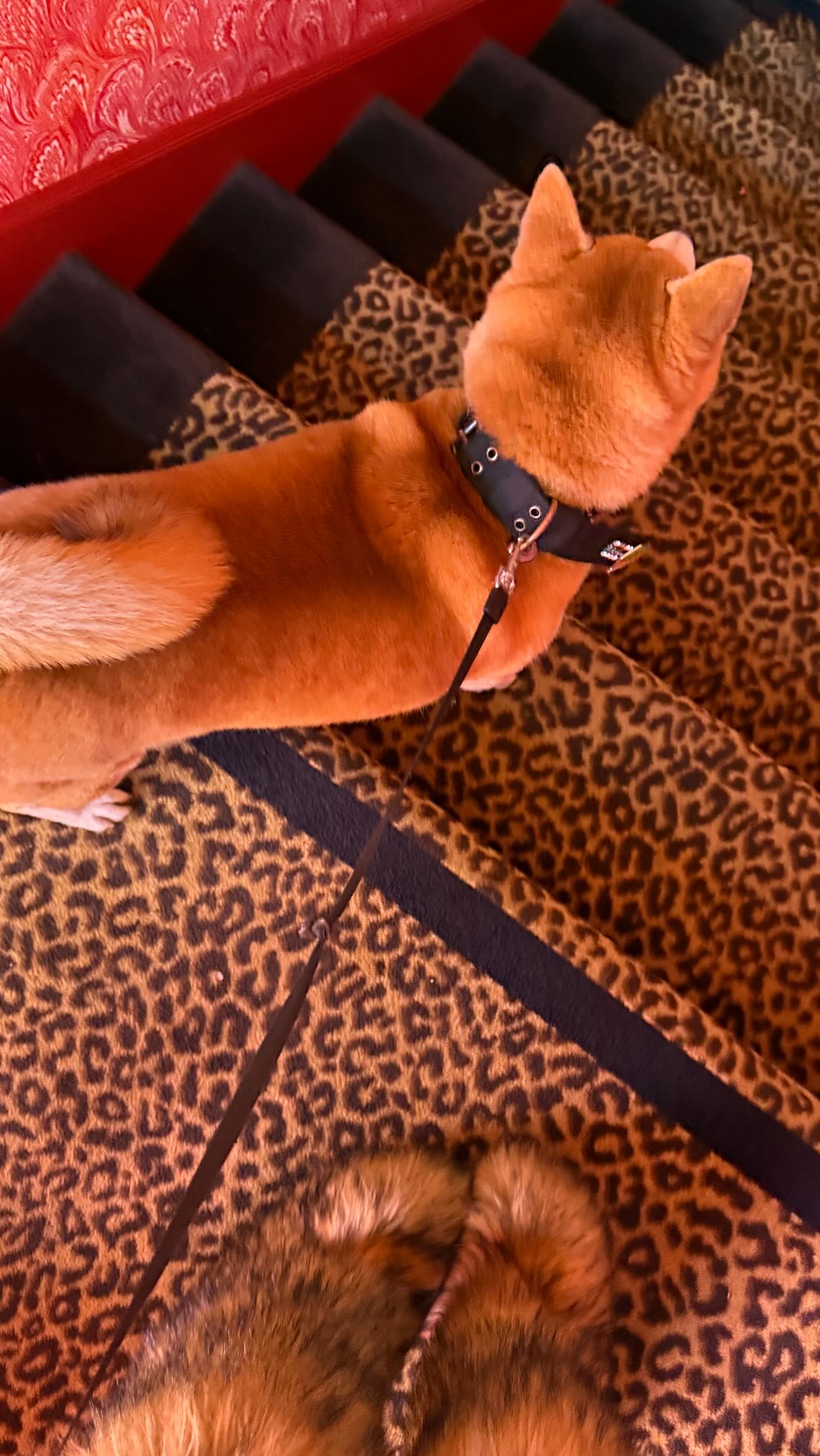 zommmbri instagram image archive image