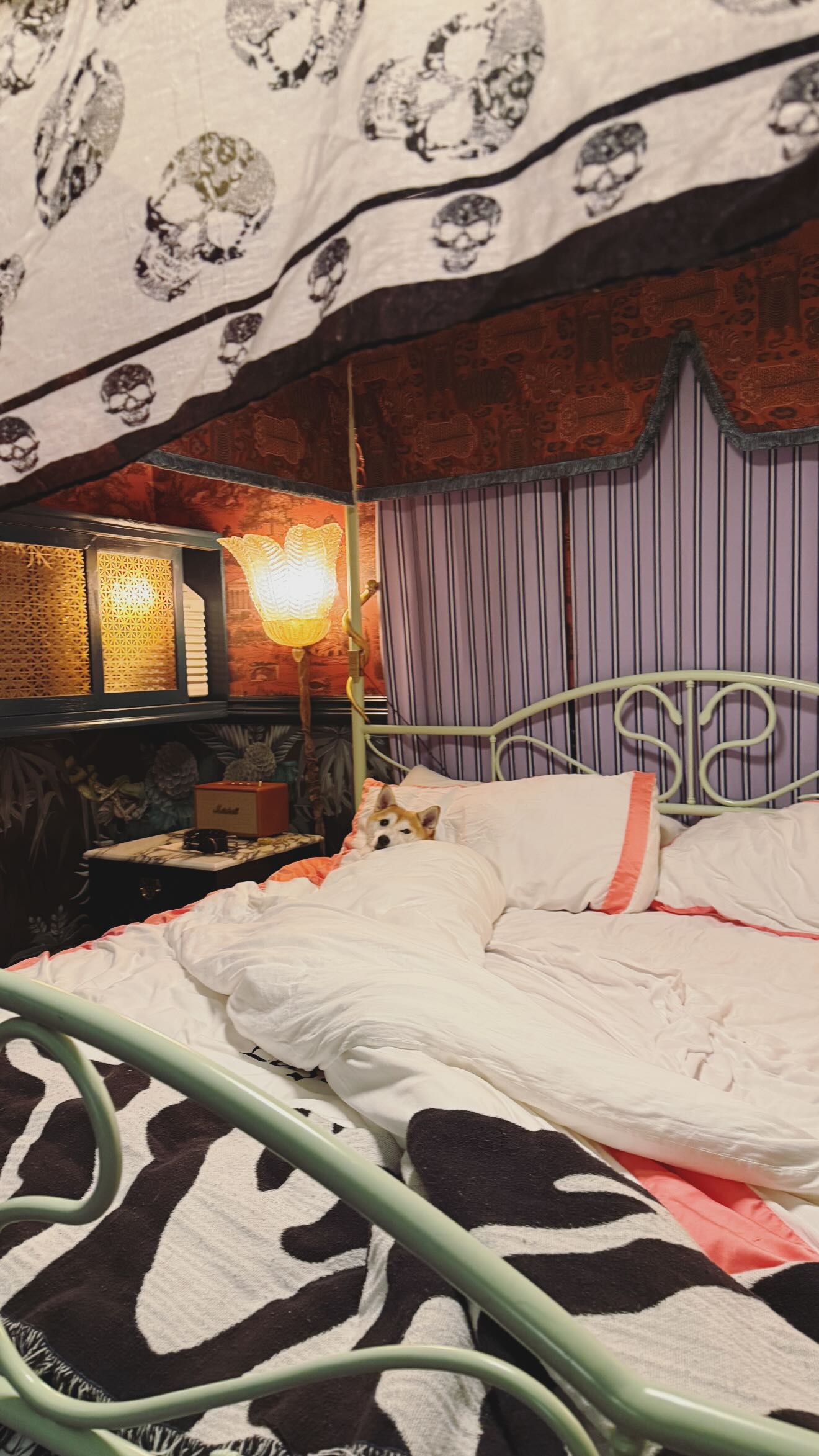 zommmbri instagram image archive image