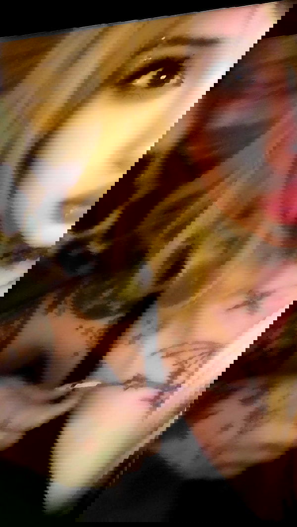 zommmbri image ~ Altpins