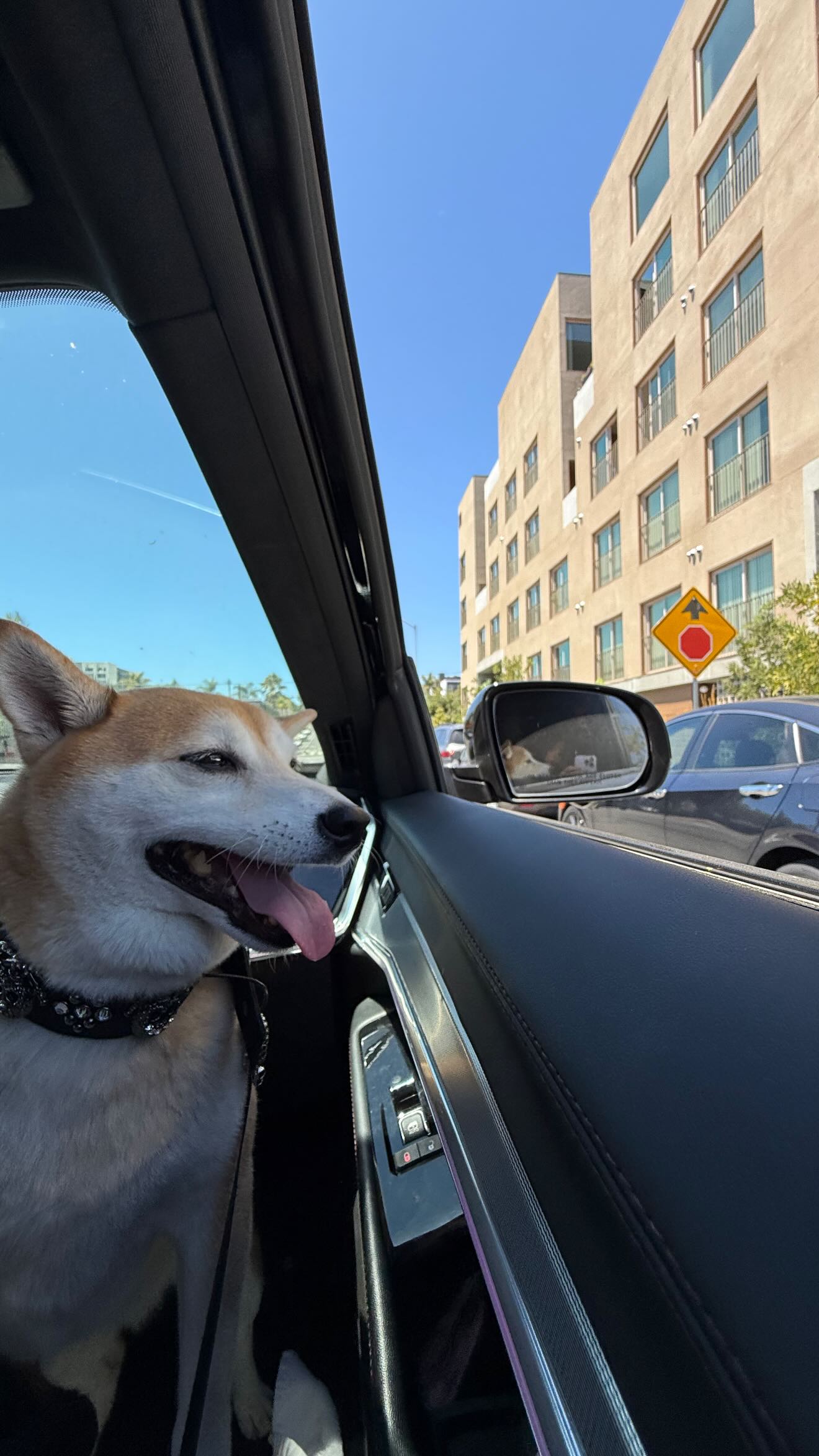 zommmbri instagram image archive image