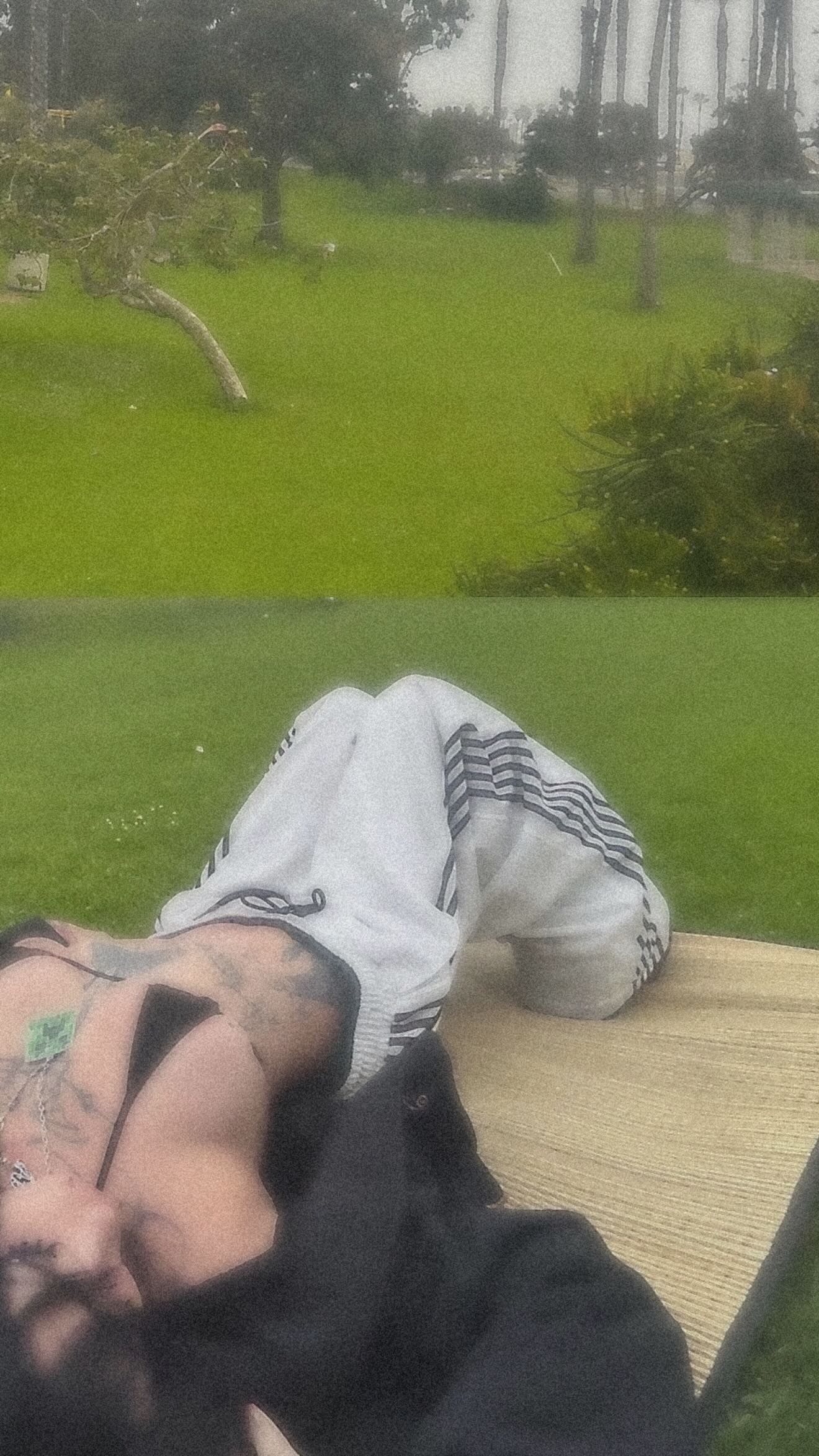 zommmbri instagram image archive image