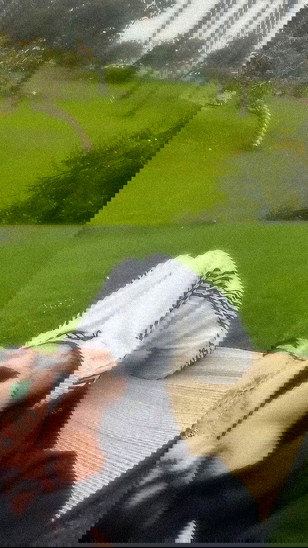 zommmbri image ~ Altpins