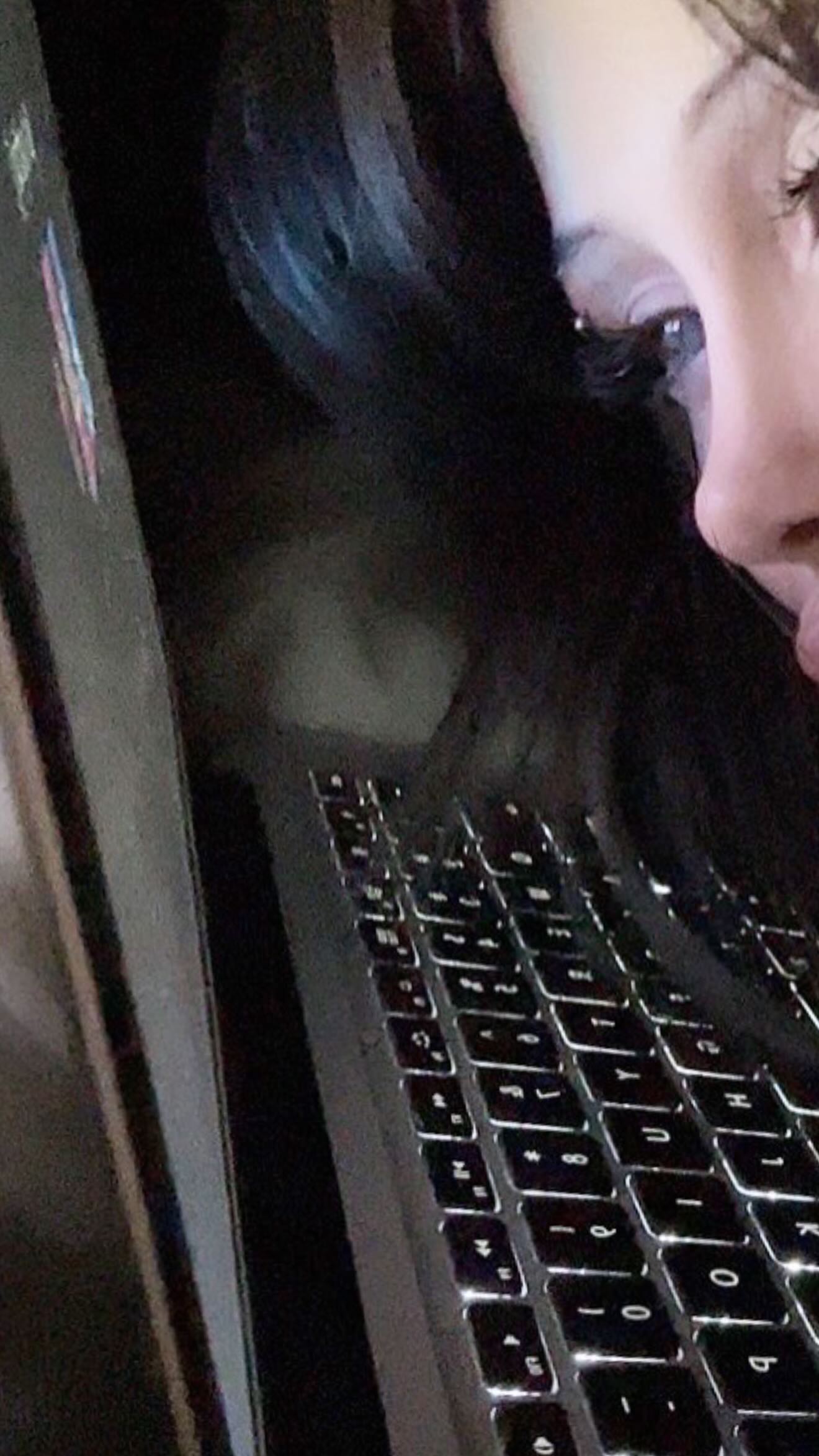 zommmbri instagram image archive image