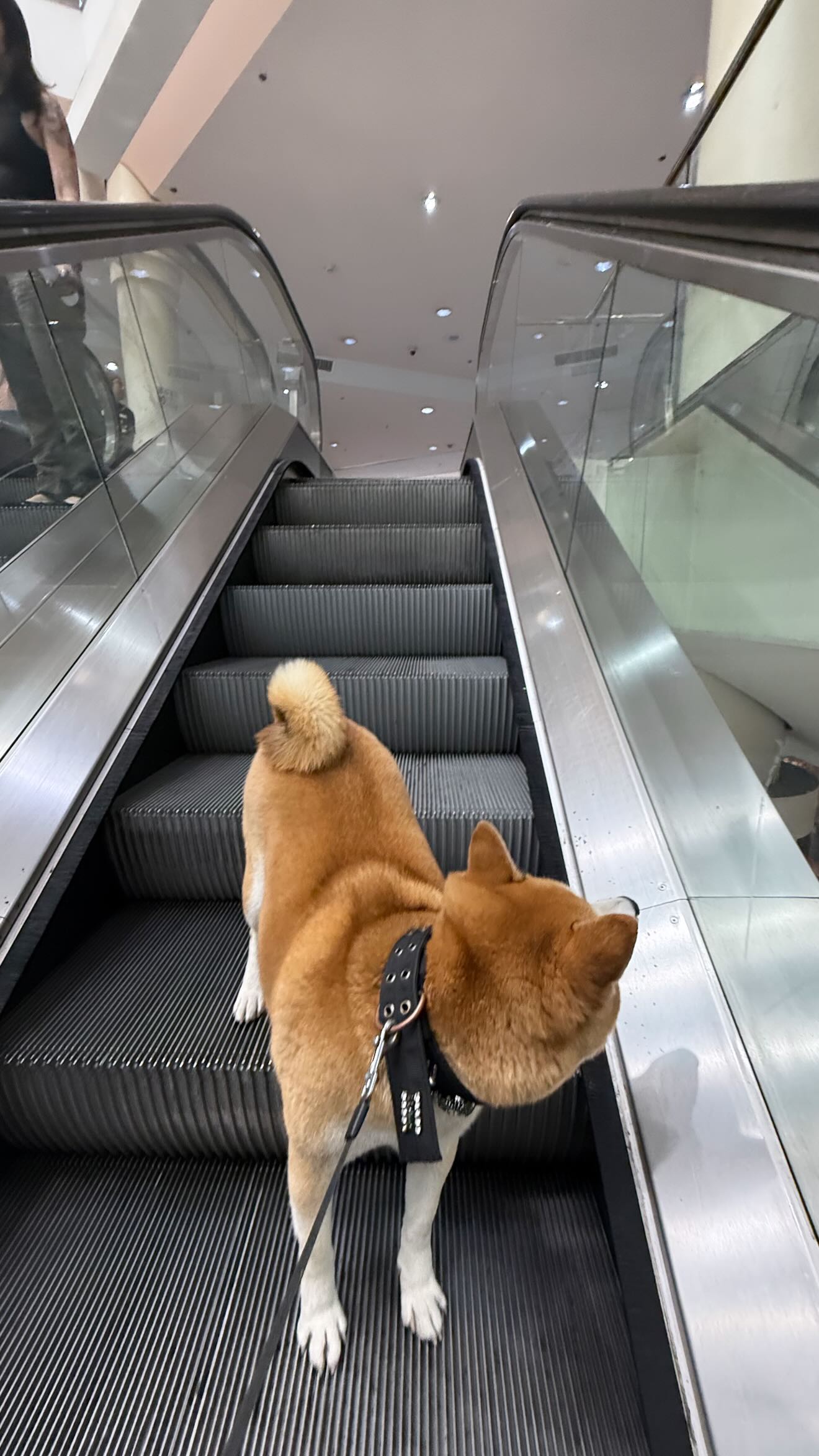 zommmbri instagram image archive image