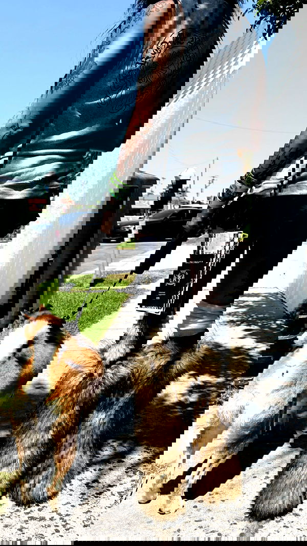 zommmbri image ~ Altpins