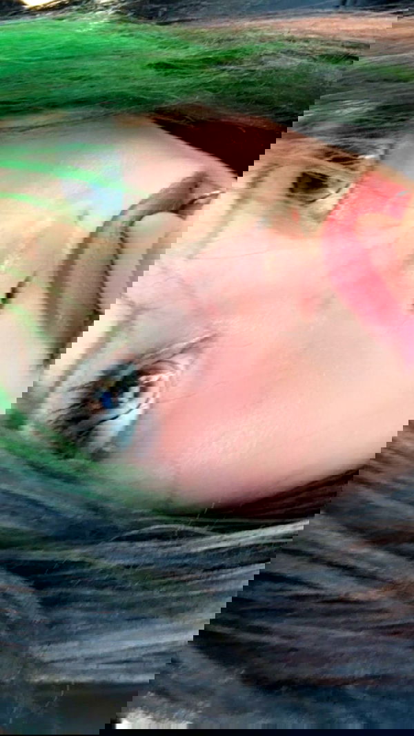 zommmbri image ~ Altpins