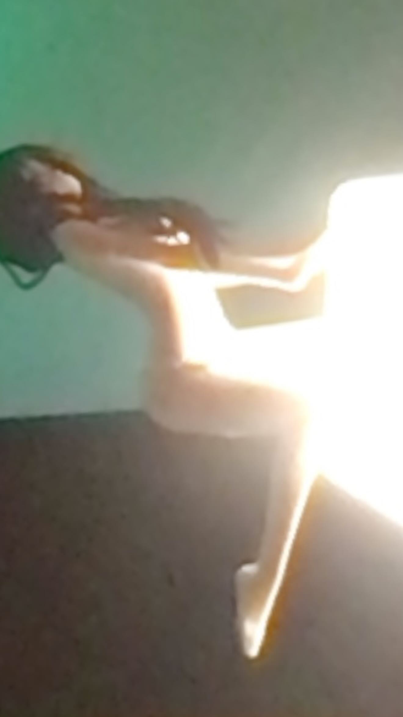 zommmbri instagram image archive image