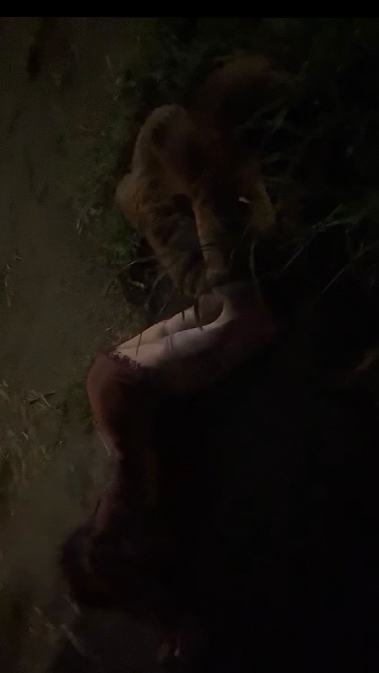 zommmbri instagram image archive image