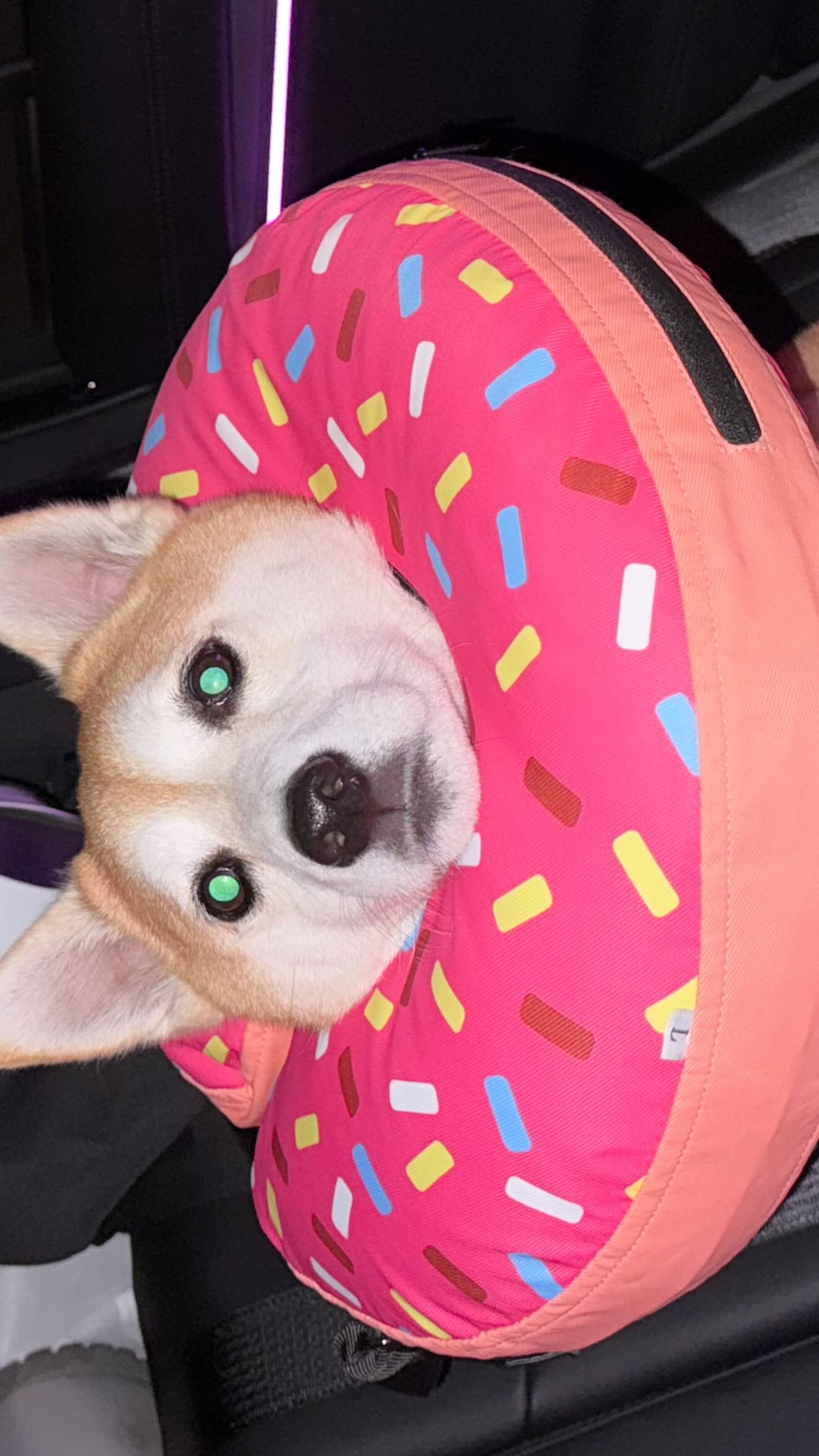 zommmbri instagram image archive image