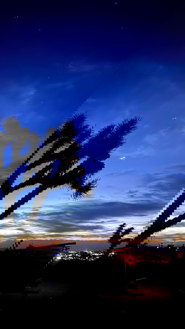 zommmbri image ~ Altpins