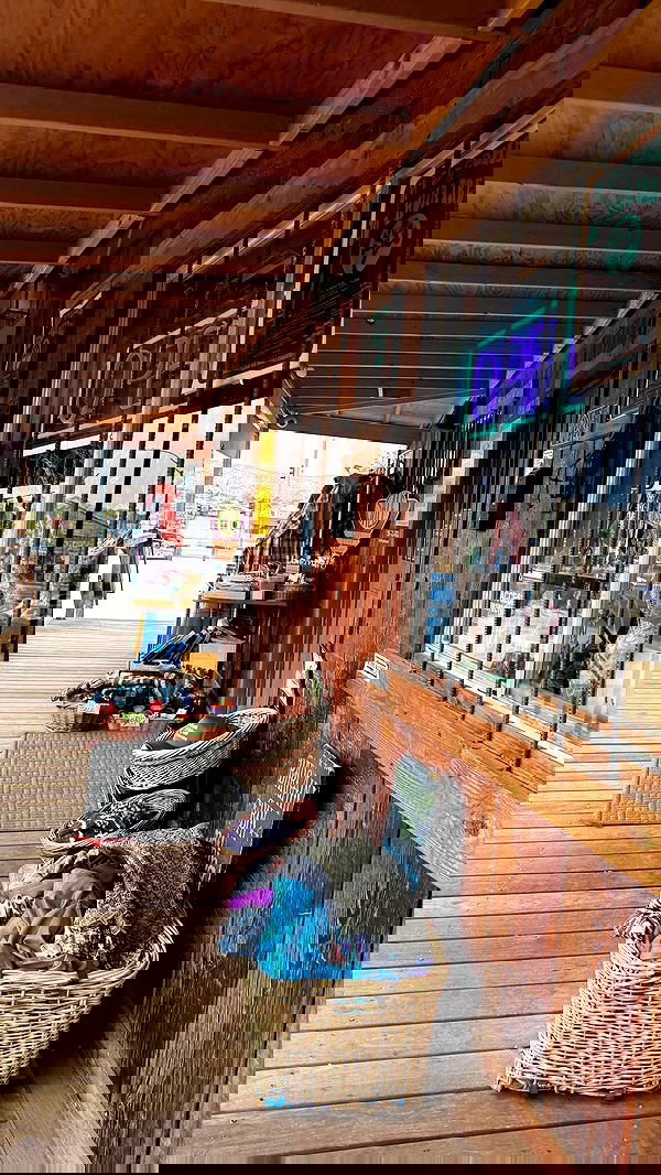 zommmbri image ~ Altpins