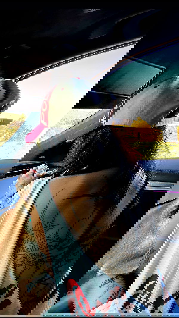 zommmbri image ~ Altpins