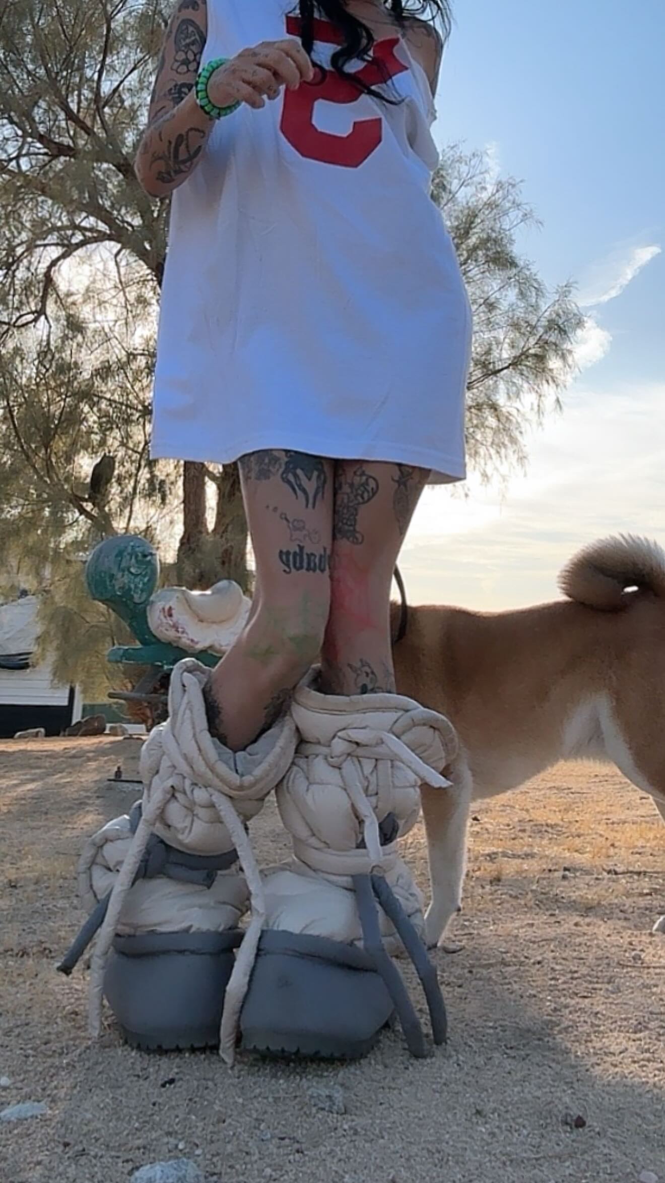 zommmbri instagram image archive image