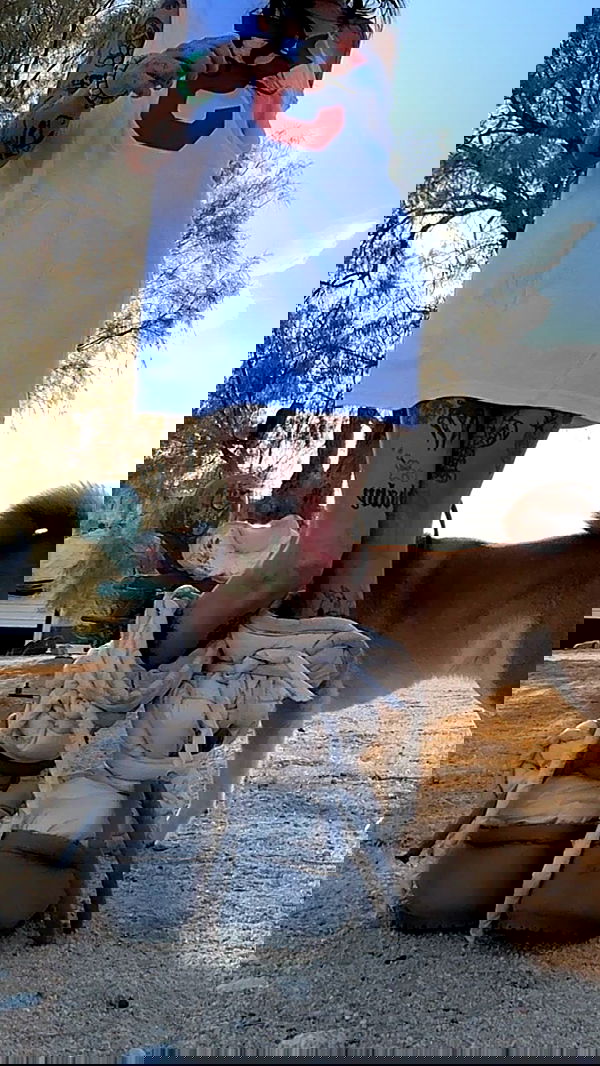 zommmbri image ~ Altpins