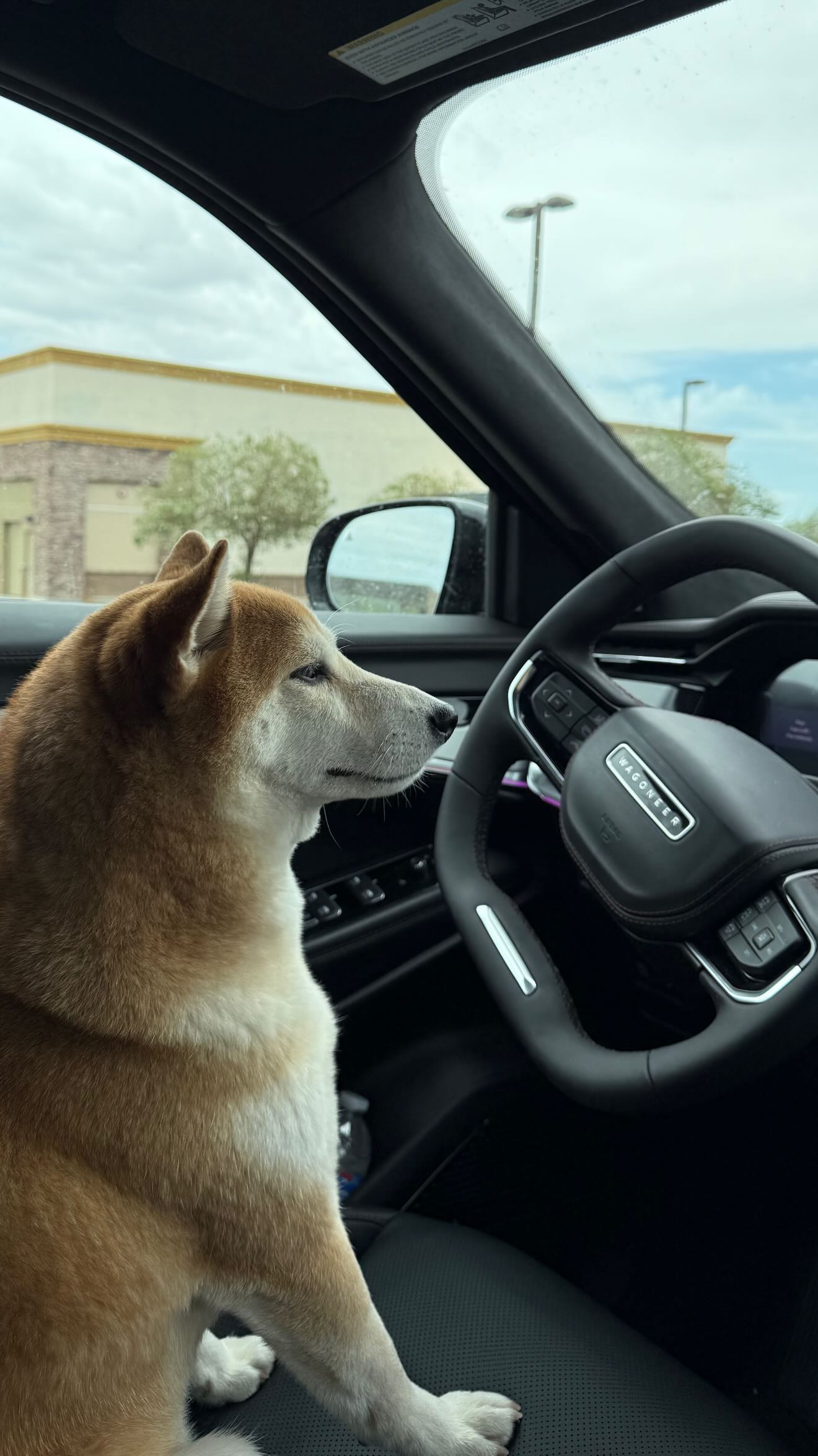 zommmbri instagram image archive image