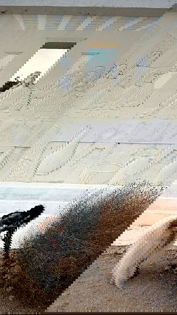 zommmbri image ~ Altpins