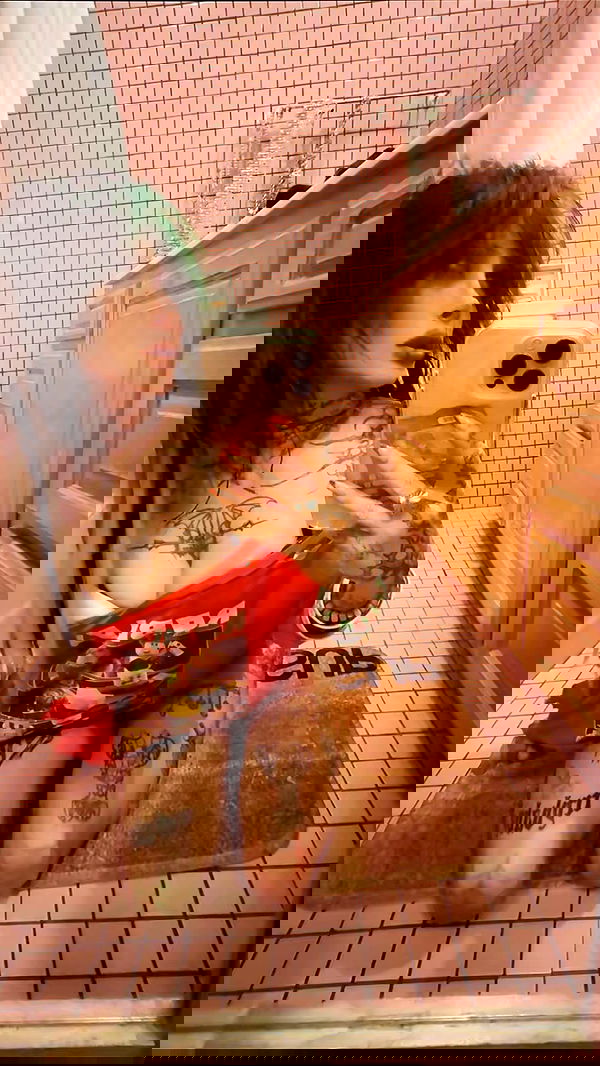 zommmbri image ~ Altpins