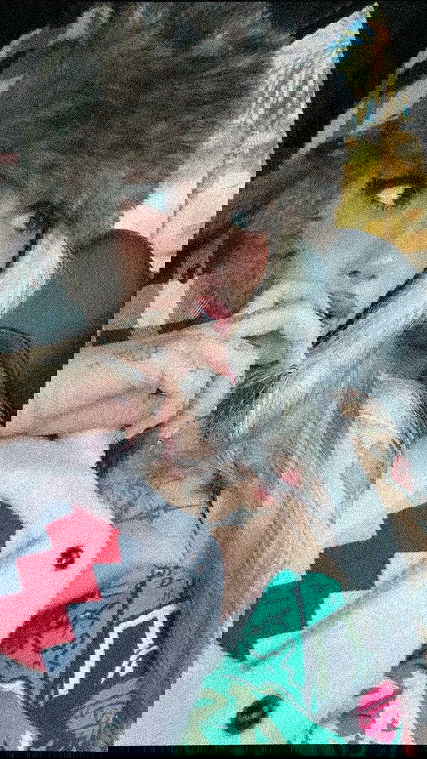 zommmbri image ~ Altpins