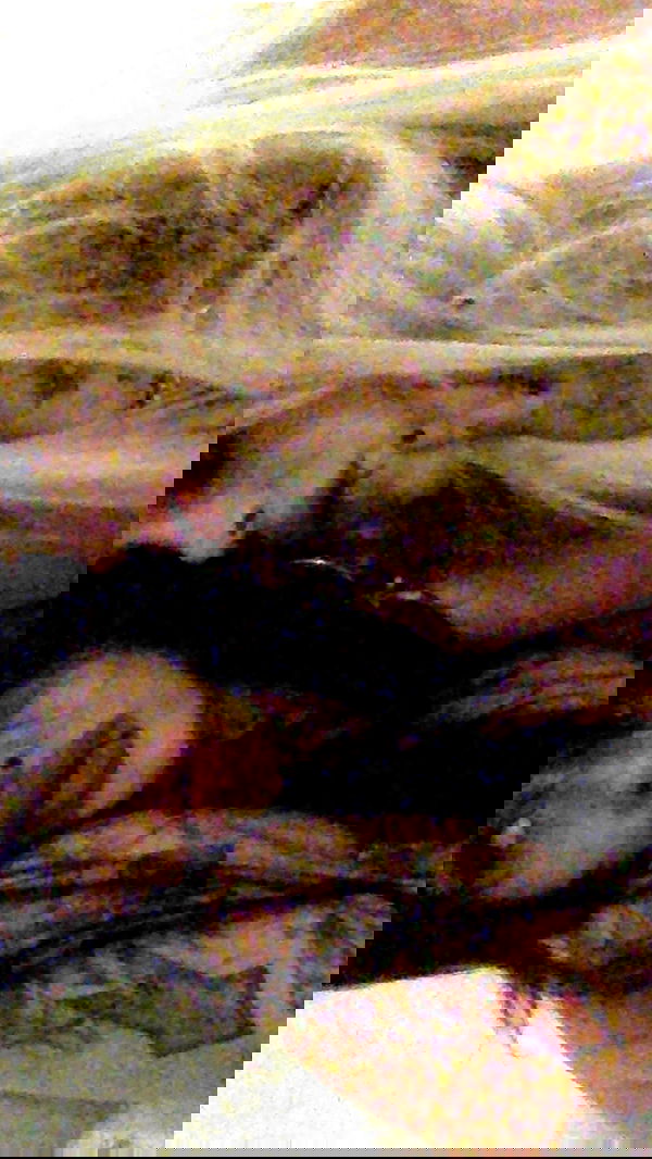 zommmbri image ~ Altpins