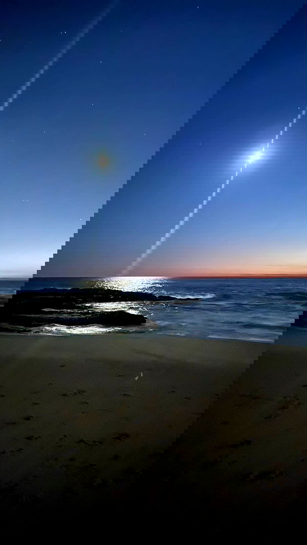 zommmbri image ~ Altpins