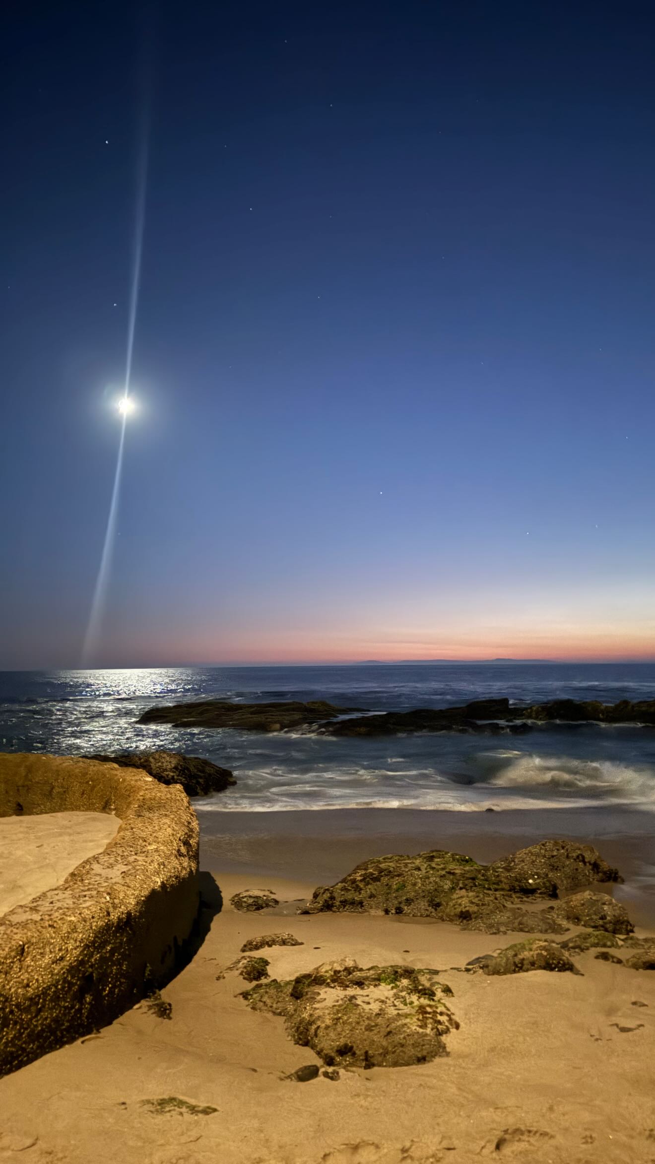 zommmbri instagram image archive image