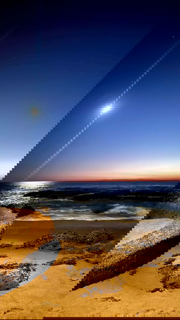 zommmbri image ~ Altpins